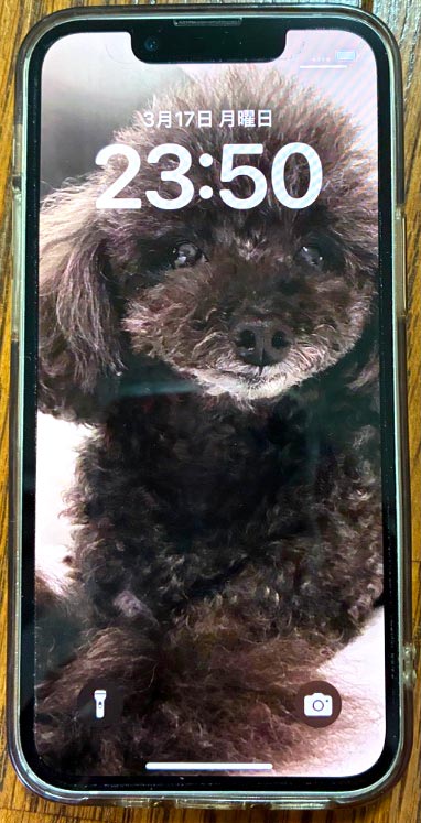 iPhone・iPad買取 Cash Go! 瑞江店の口コミ・評判 2025年3月18日